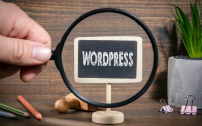 Pourquoi choisir WordPress pour l’e-commerce ?